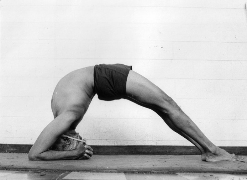 dvi_pada_viparita_dandasana-cd62a dvi_pada_viparita_dandasana-cd62a