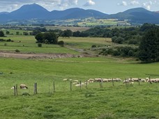 lebonheurpre